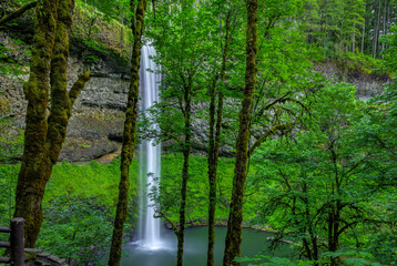 Silver Falls-Oregon 2