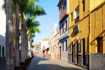 Fototapeta na wymiar cosy street with palmas in Puerto de la Cruz, tenerife Spain