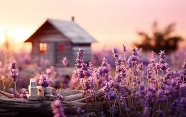 Foto op Plexiglas A vibrant lavender field with a charming house nestled in the background © zainab
