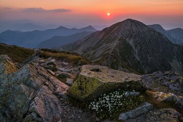 Alpine landscape at a colorful sunset. Rocks, mountain flowers and mountain ridge. Discover the...