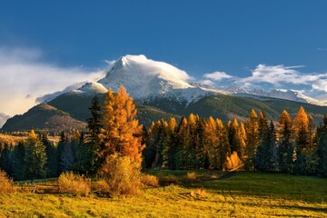 Beautiful autumn alpine landscape with a meadow, colored trees, in the background a massive...
