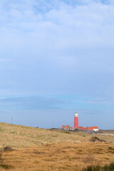 Lighthouse on Dutch island Texel - 773424806