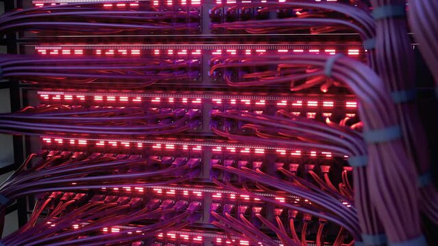 Modern Internet Network Switch With Plugged Ethernet Cables