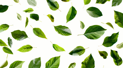 Falling green leaves isolated on a white background, generative ai
