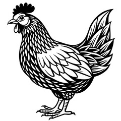 Fototapeta na wymiar chicken silhouette vector art illustration