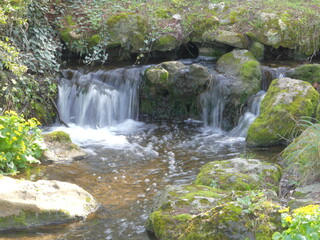 Jolie cascade dans un jardin