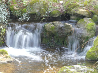 Jolie cascade dans un jardin