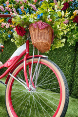 Vintage bicycle with hand made wedding bouquet in basket. 