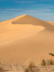 Wilderness Dune: Wind-blown texture on a dune in the Algodones Wilderness Area.  