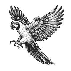 majestic parrot in flight, engraved with exquisite detail, perfect for wildlife art enthusiasts sketch engraving generative ai vector illustration. Scratch board imitation. Black and white image.