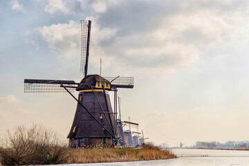 Dutch windmills, in use for make flower en sawing wood mostly for small hobby business - obrazy, fototapety, plakaty