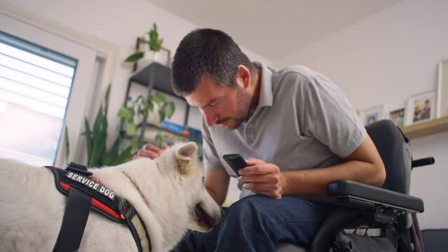 Man in a wheelchair talking with and petting his friend and helper a beautiful white service dog, low angle close up view.