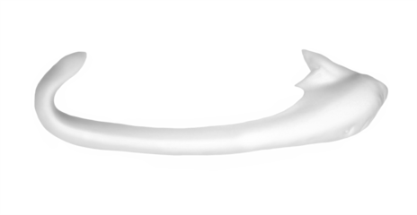 Shave foam isolated on white background, top view and clipping path