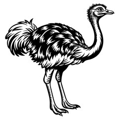 ostrich silhouette vector art illustration