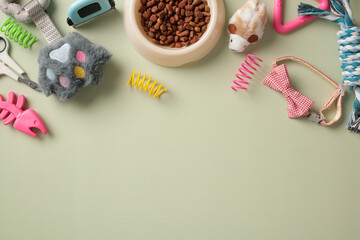 Flat lay composition with accessories for dog and cat on pastel green background. Pet care, grooming, training concept.