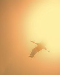 Sandhill cranes (Grus canadensis) in flight; Crane Trust; Nebraska - 773443481