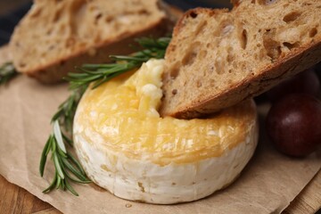 Dipping piece of bread into tasty baked camembert on table, closeup