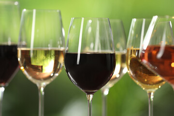 Different tasty wines in glasses against blurred background