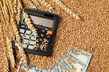 Dollar banknotes, calculator and wheat ears on grains, top view. Agricultural business - obrazy, fototapety, plakaty
