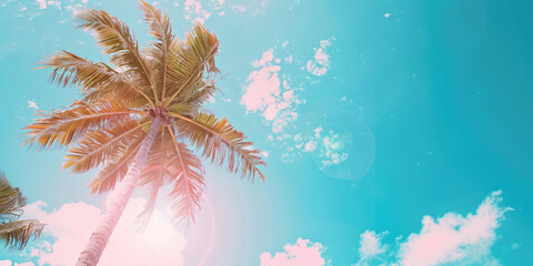 Fototapeta na wymiar Tropical background with palm trees in sun light. For Holiday travel design