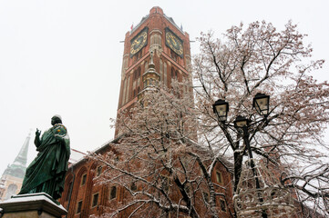 Winter in the City. Tower of Old Town Hall, Statue of great astronomer to Nicolaus Copernicus (Mikolaj Kopernik). Frozen branches, December, 2021. Toruń, Poland. © aerrant
