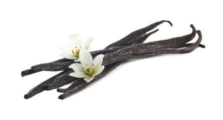 Vanilla pods and flowers isolated on white