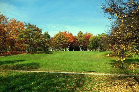 Park in Poland The name of Adolf Dygasinski view of the empty field photo taken in early fall