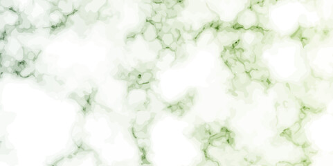 White marble texture and background. green and white marbling surface stone wall tiles and floor tiles texture. vector illustration.	