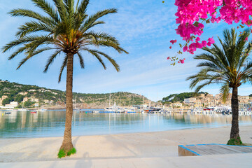 view of Port Soller beach with palmas, Mallorca at summer with flowers