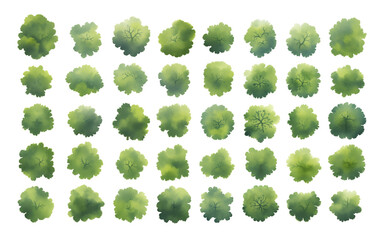 Various green trees, bushes and shrubs, top view for landscape design plan. Isolated watercolor illustration, PNG cutout.