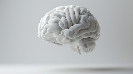 Levitating 3D Model of the Human Brain in Plain White