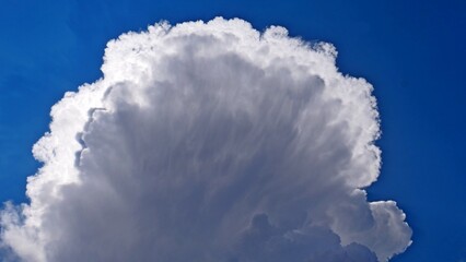 clouds storm cumulus nimbus development vertical summer weather torrential rain front