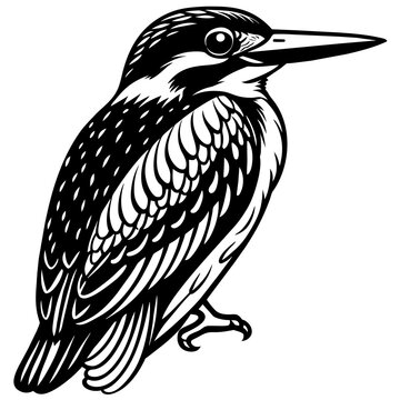 recommend clip art: kingfisher silhouette vector art illustration