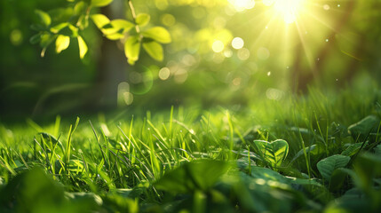 Fototapeta na wymiar Green Leaves, Sunlight, and Bokeh Effect Nature Background