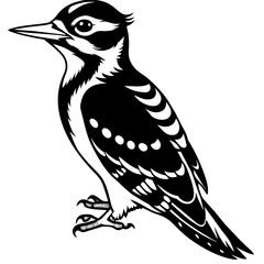 woodpecker silhouette vector art illustration