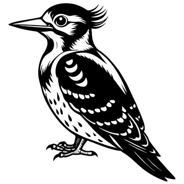 recommend clip art: woodpecker silhouette vector art illustration