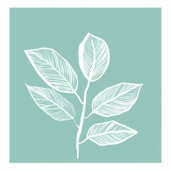 botanical leaf outline and silhouette print modern mint and white --ar 1:1 Job ID: f12538c6-c46c-43f8-9a5d-d8eb0dded8c0