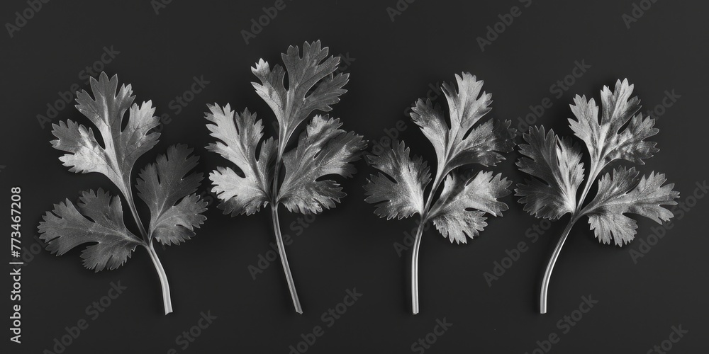 Poster black and white image of leaves, versatile for various projects