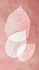 botanical print leaf outline and silhouette modern pink and white --ar 9:16 Job ID: 2f6e52ed-11d6-4161-941a-16293743146c