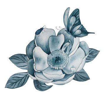 Peony flower and insects, beetle and butterfly. Painted in watercolor in monochrome on a white background. An illustration of the color indigo, dark blue. For printing on postcards, textiles