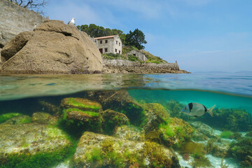 Atlantic coast in Spain with old house and rocks underwater in the ocean, split view half over and under water surface, natural scene,  Galicia, Rias Baixas, Cangas