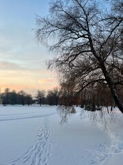 winter snowy park at the twilights time