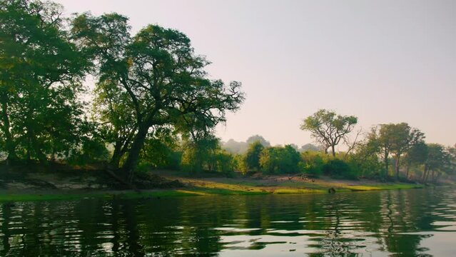Beautiful footage of Chobe River from boat in Chobe National Park, Botswana, South Africa 