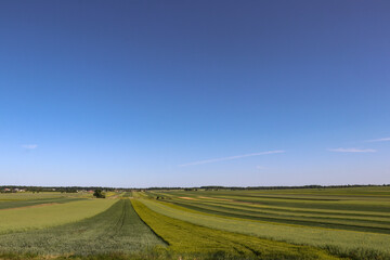 Fototapeta na wymiar Beautiful landscape of Polish fields and meadows
