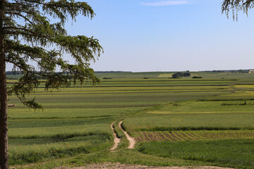 Beautiful landscape of Polish fields and meadows