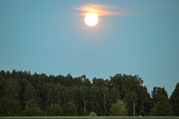 Full sun setting over the forest