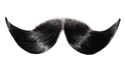 Stylish artificial black moustache isolated on white