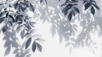 Black and white photo of leaves on a wall, suitable for interior design projects