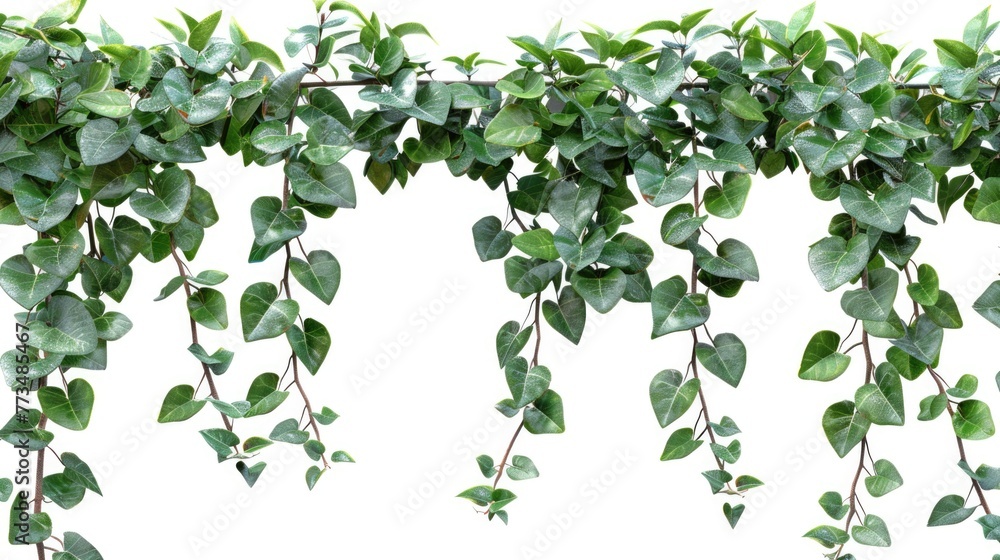 Poster a cluster of vibrant green leaves hanging from a tree branch. perfect for nature and botanical theme