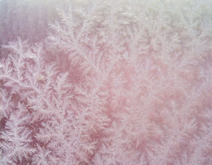 Fototapeta premium Pink Frost on Sheet of Glass as Background AI